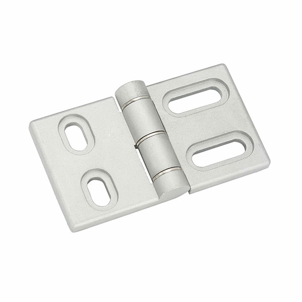 Adjustable Position Hinge